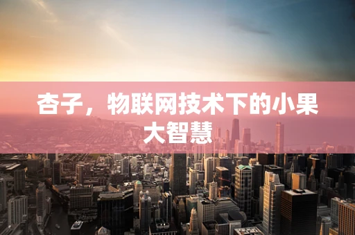 杏子，物联网技术下的小果大智慧