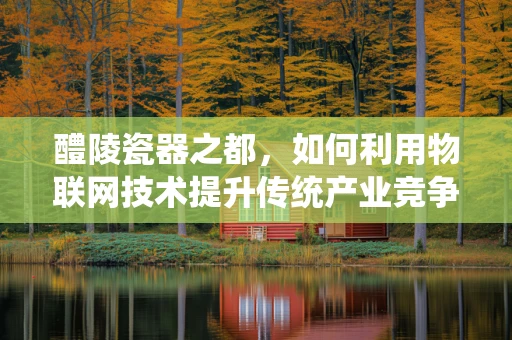 醴陵瓷器之都，如何利用物联网技术提升传统产业竞争力？