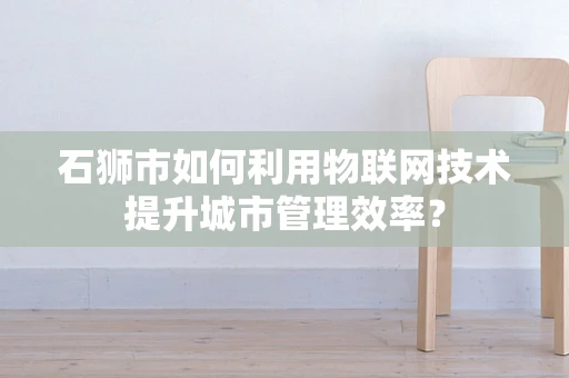 石狮市如何利用物联网技术提升城市管理效率？