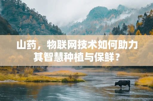山药，物联网技术如何助力其智慧种植与保鲜？