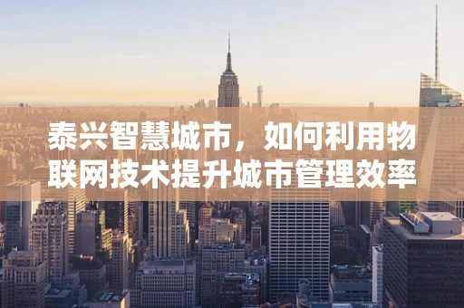泰兴智慧城市，如何利用物联网技术提升城市管理效率？