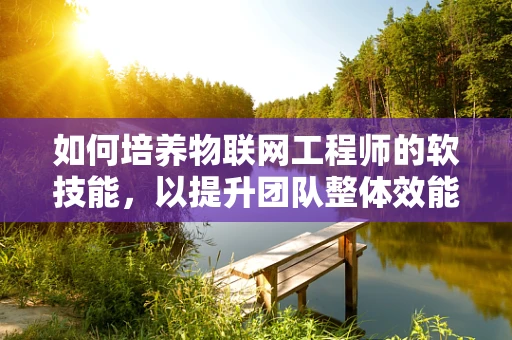 如何培养物联网工程师的软技能，以提升团队整体效能？