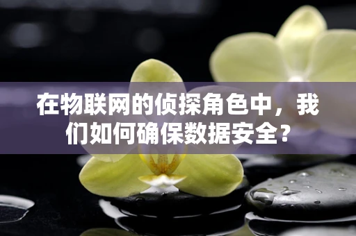 在物联网的侦探角色中，我们如何确保数据安全？