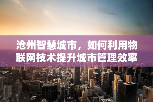 沧州智慧城市，如何利用物联网技术提升城市管理效率？