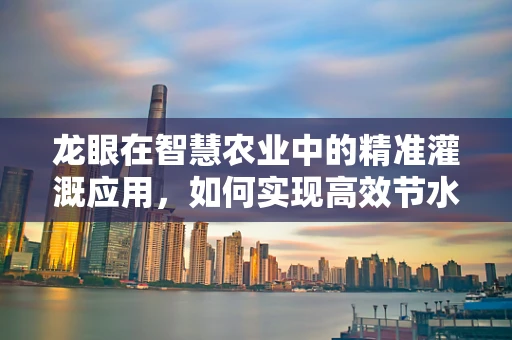 龙眼在智慧农业中的精准灌溉应用，如何实现高效节水与增产？