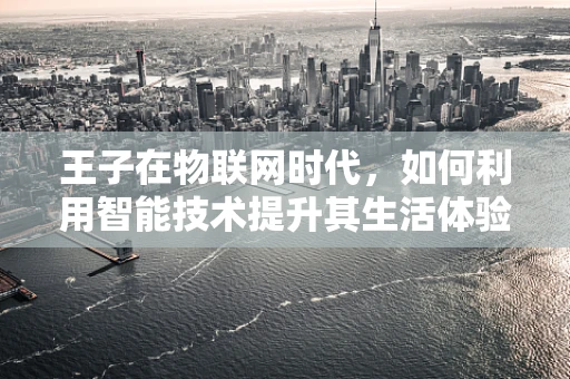 王子在物联网时代，如何利用智能技术提升其生活体验？