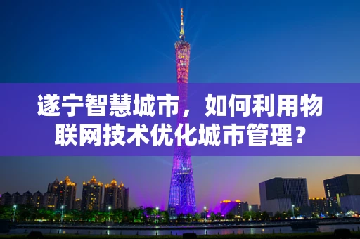 遂宁智慧城市，如何利用物联网技术优化城市管理？