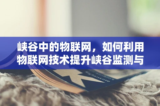 峡谷中的物联网，如何利用物联网技术提升峡谷监测与管理？