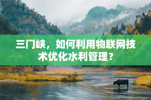 三门峡，如何利用物联网技术优化水利管理？