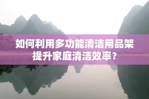 如何利用多功能清洁用品架提升家庭清洁效率？