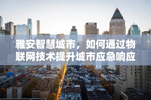 雅安智慧城市，如何通过物联网技术提升城市应急响应能力？