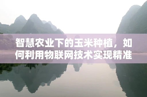 智慧农业下的玉米种植，如何利用物联网技术实现精准管理？
