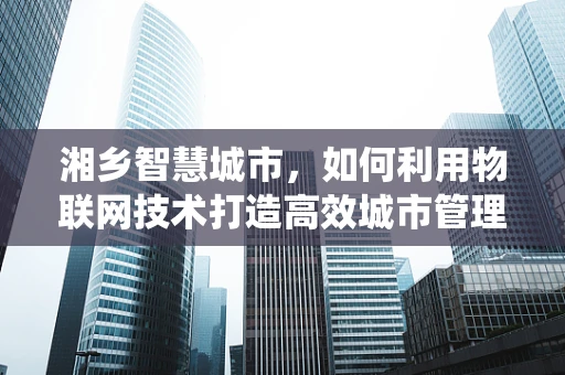 湘乡智慧城市，如何利用物联网技术打造高效城市管理系统？