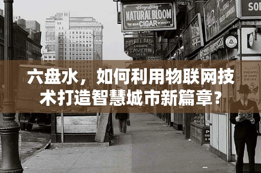 六盘水，如何利用物联网技术打造智慧城市新篇章？