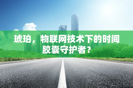 琥珀，物联网技术下的时间胶囊守护者？