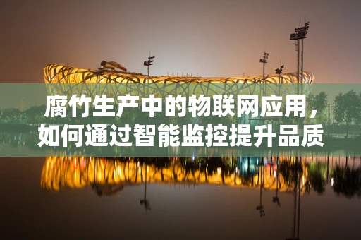 腐竹生产中的物联网应用，如何通过智能监控提升品质与效率？