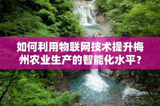 如何利用物联网技术提升梅州农业生产的智能化水平？