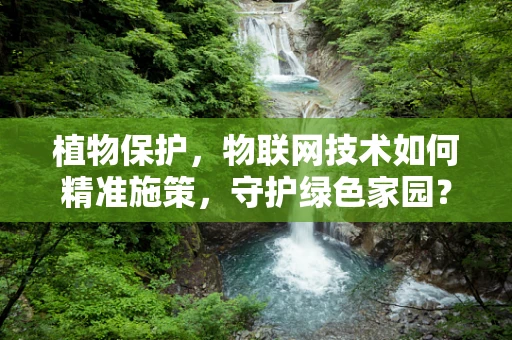 植物保护，物联网技术如何精准施策，守护绿色家园？