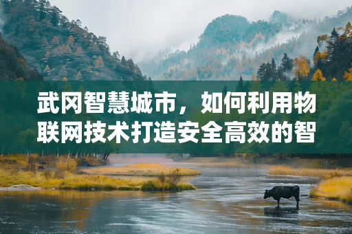 武冈智慧城市，如何利用物联网技术打造安全高效的智能安防系统？