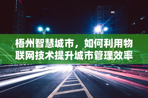 梧州智慧城市，如何利用物联网技术提升城市管理效率？