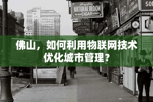 佛山，如何利用物联网技术优化城市管理？