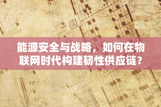 能源安全与战略，如何在物联网时代构建韧性供应链？