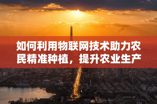 如何利用物联网技术助力农民精准种植，提升农业生产效率？