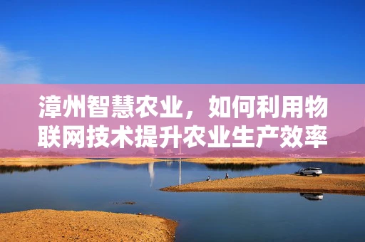 漳州智慧农业，如何利用物联网技术提升农业生产效率？