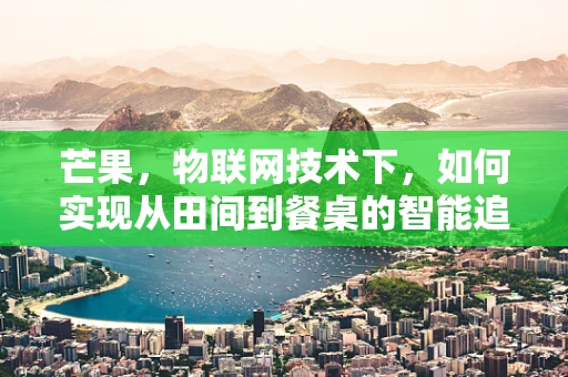 芒果，物联网技术下，如何实现从田间到餐桌的智能追踪？