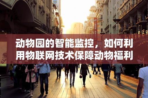 动物园的智能监控，如何利用物联网技术保障动物福利？