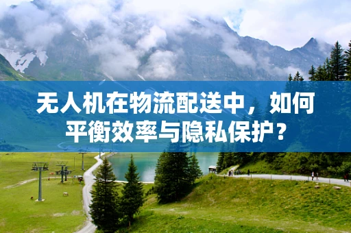 无人机在物流配送中，如何平衡效率与隐私保护？