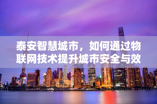 泰安智慧城市，如何通过物联网技术提升城市安全与效率？