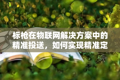标枪在物联网解决方案中的精准投送，如何实现精准定位与追踪？