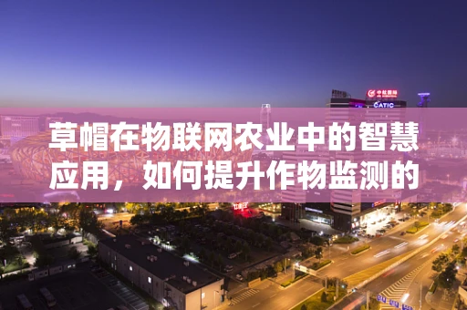 草帽在物联网农业中的智慧应用，如何提升作物监测的精准度？