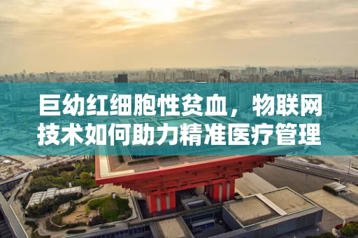 巨幼红细胞性贫血，物联网技术如何助力精准医疗管理？