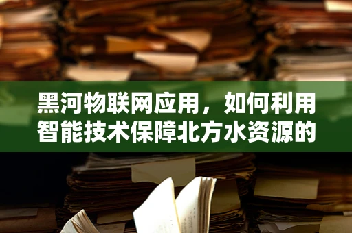 黑河物联网应用，如何利用智能技术保障北方水资源的可持续发展？