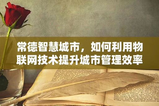 常德智慧城市，如何利用物联网技术提升城市管理效率？