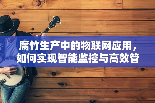 腐竹生产中的物联网应用，如何实现智能监控与高效管理？