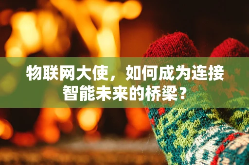 物联网大使，如何成为连接智能未来的桥梁？