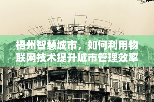 梧州智慧城市，如何利用物联网技术提升城市管理效率？