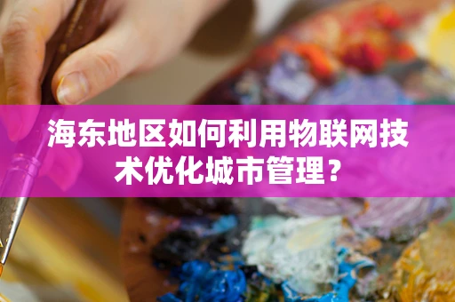 海东地区如何利用物联网技术优化城市管理？