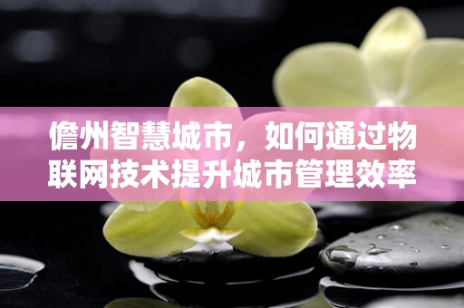 儋州智慧城市，如何通过物联网技术提升城市管理效率？