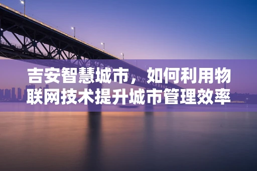 吉安智慧城市，如何利用物联网技术提升城市管理效率？