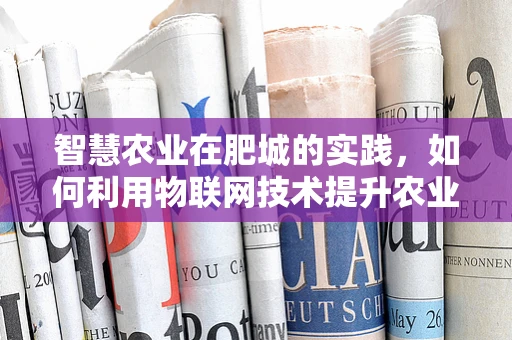 智慧农业在肥城的实践，如何利用物联网技术提升农业生产效率？