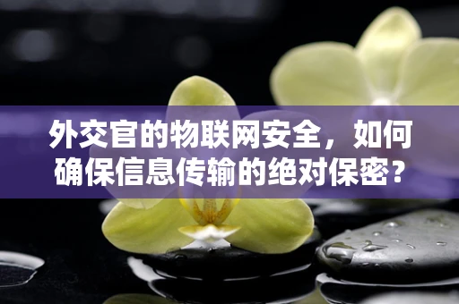 外交官的物联网安全，如何确保信息传输的绝对保密？