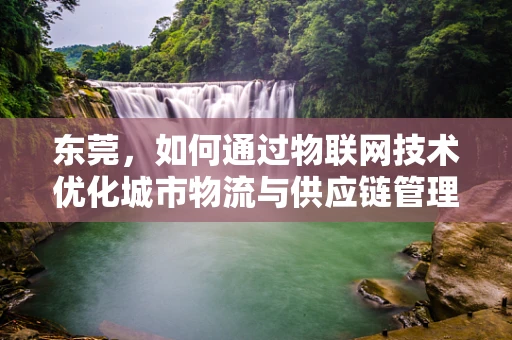 东莞，如何通过物联网技术优化城市物流与供应链管理？