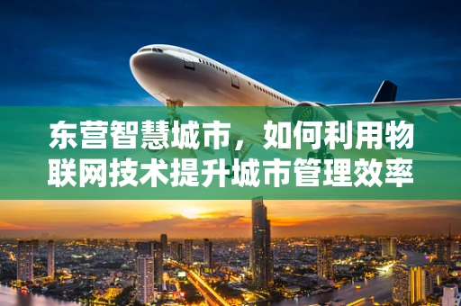 东营智慧城市，如何利用物联网技术提升城市管理效率？