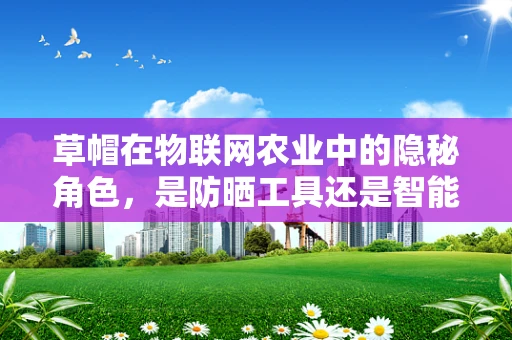 草帽在物联网农业中的隐秘角色，是防晒工具还是智能传感器？