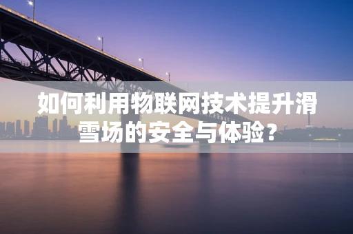 如何利用物联网技术提升滑雪场的安全与体验？