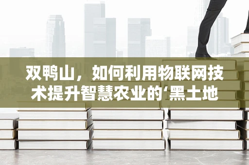 双鸭山，如何利用物联网技术提升智慧农业的‘黑土地’效益？
